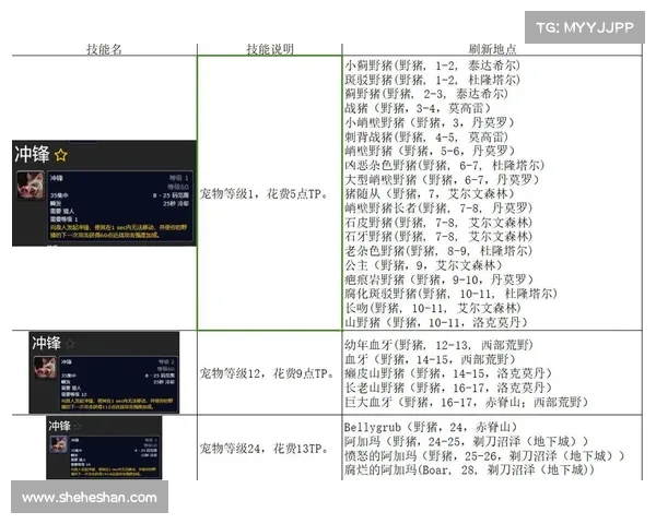 魔兽世界猎人宝宝快速升级攻略